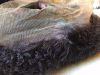 Picture of Wig kinky curly 150% density 10a grade  20 inch (50 cm) 