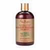 Picture of Shampoo Manuka Honey & Mafura Oil Intensive Hydration