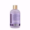 Picture of Purple rice water strength & color care shampoo