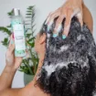 Picture of Coconut Mint Scalp Refresh Shampoo